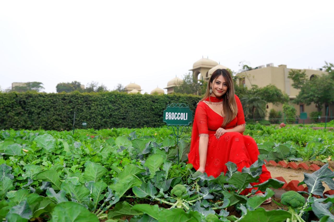 Heritage Village Resort & Spa Manesar-구르가온 외부 사진